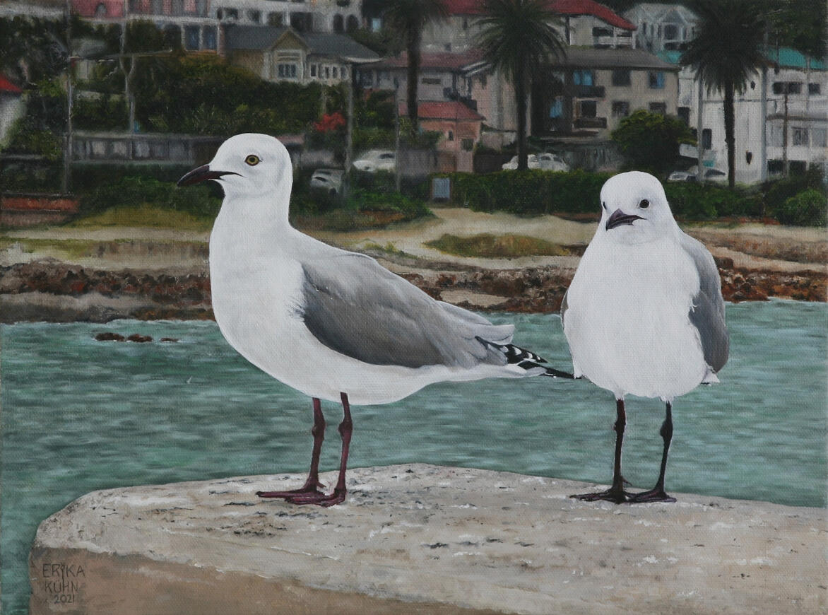 Seagulls at "Kalkie's" in Kalk Bay 30cm x 40cm