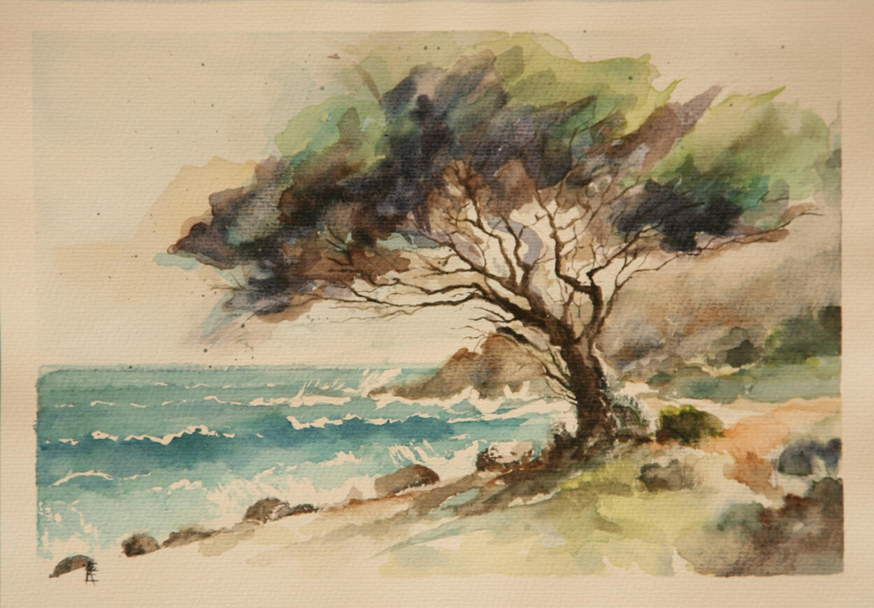 Tree by the Sea 21cm x 29.5cm(A4)