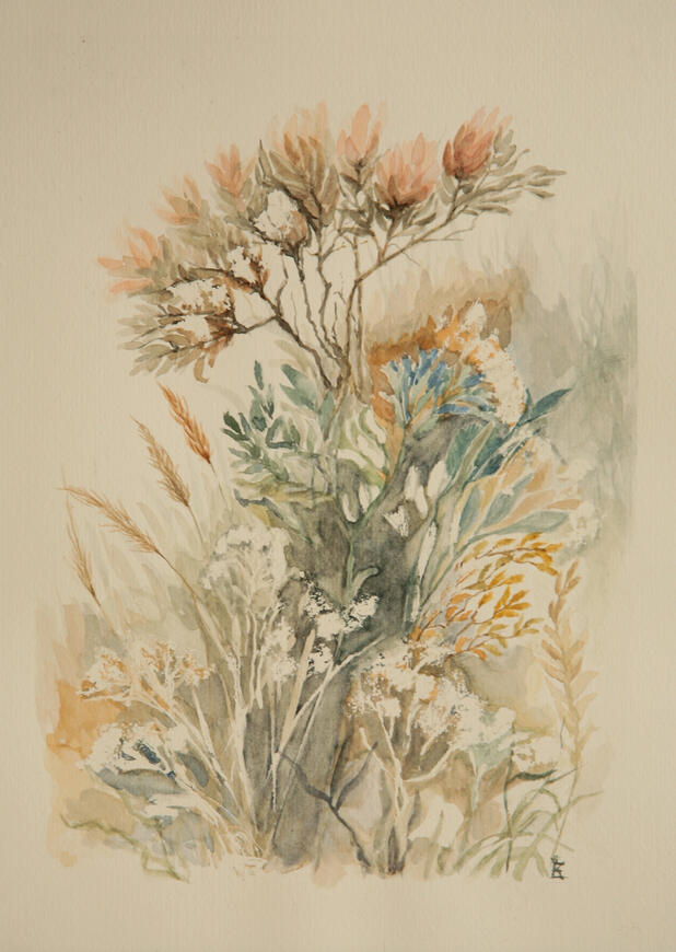 Fynbos 1 21cm x 29.5cm (A4)
