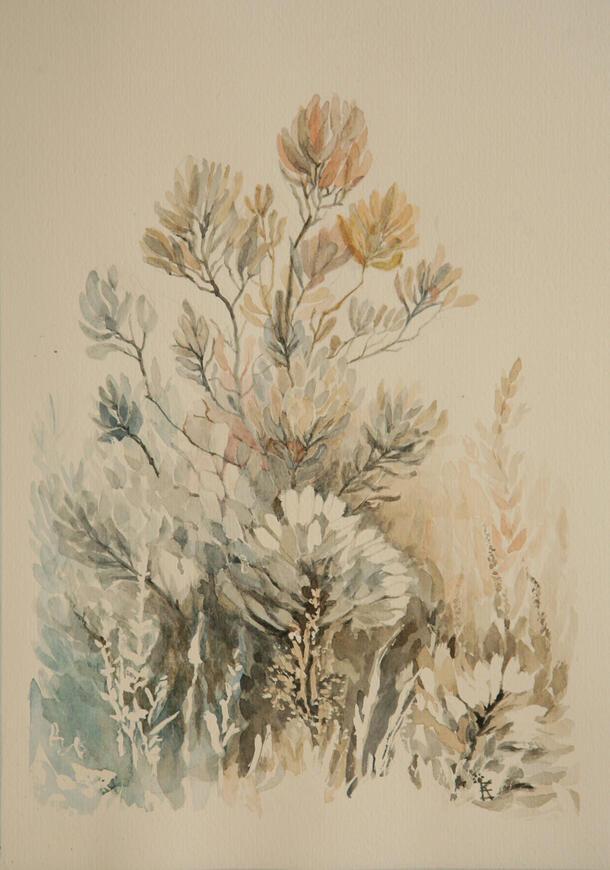Fynbos 2 21cm x 29.5cm (A4)